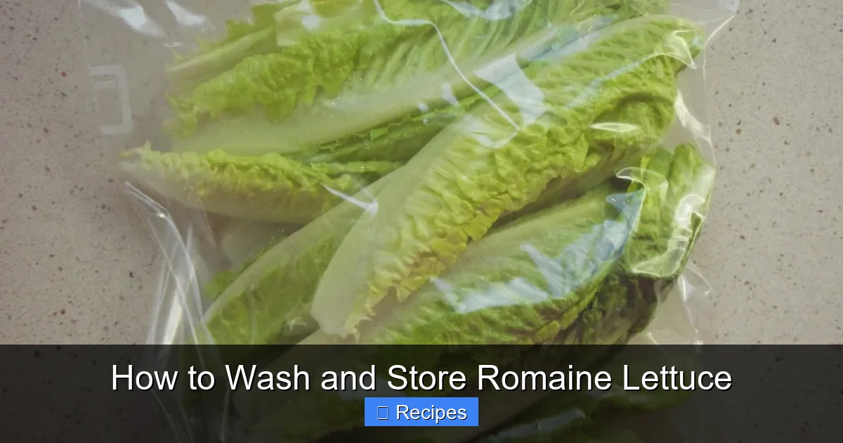 How to Wash and Store Romaine Lettuce