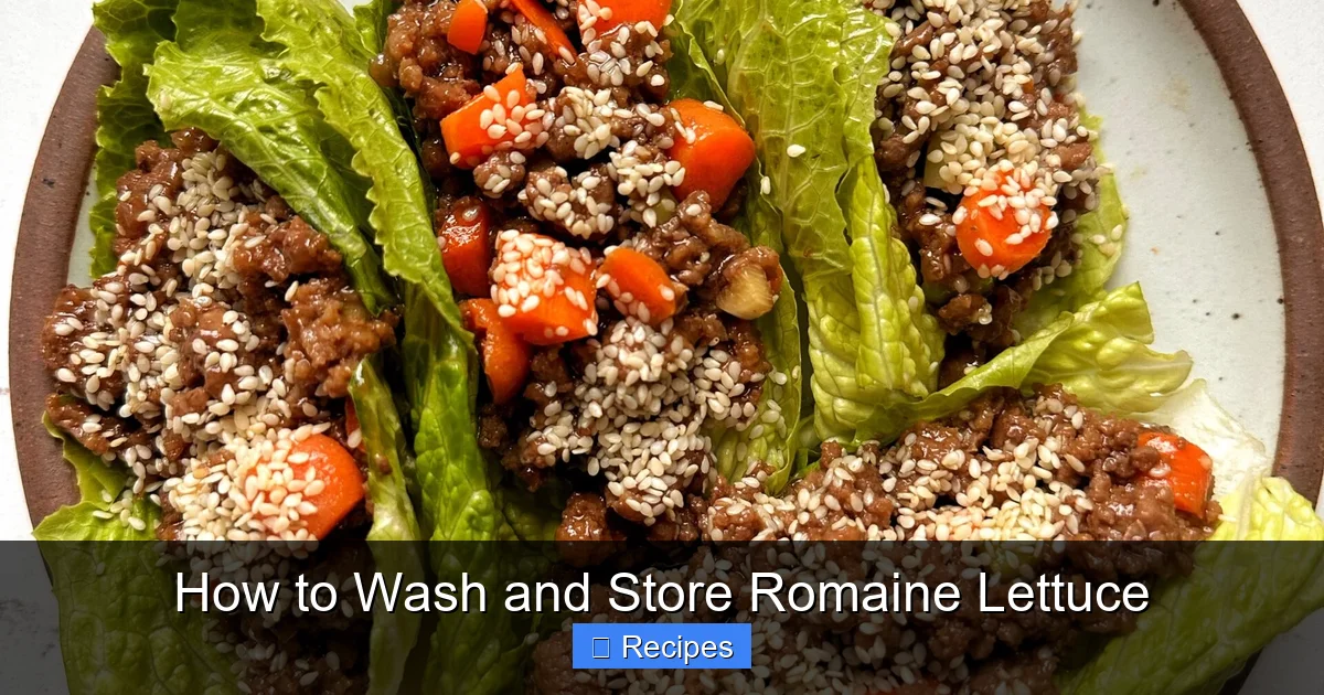 How to Wash and Store Romaine Lettuce