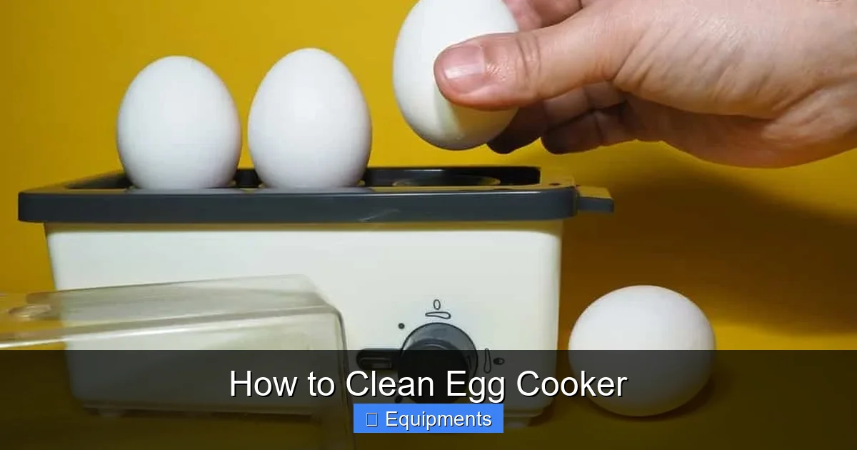 How to Clean Egg Cooker