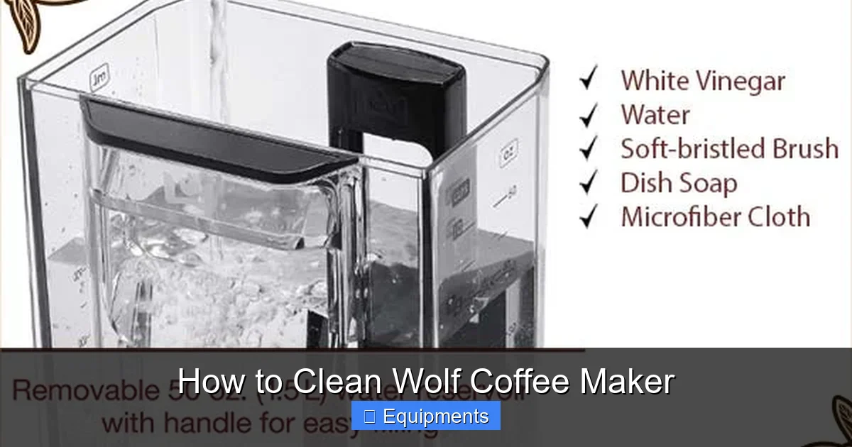 How to Clean Wolf Coffee Maker