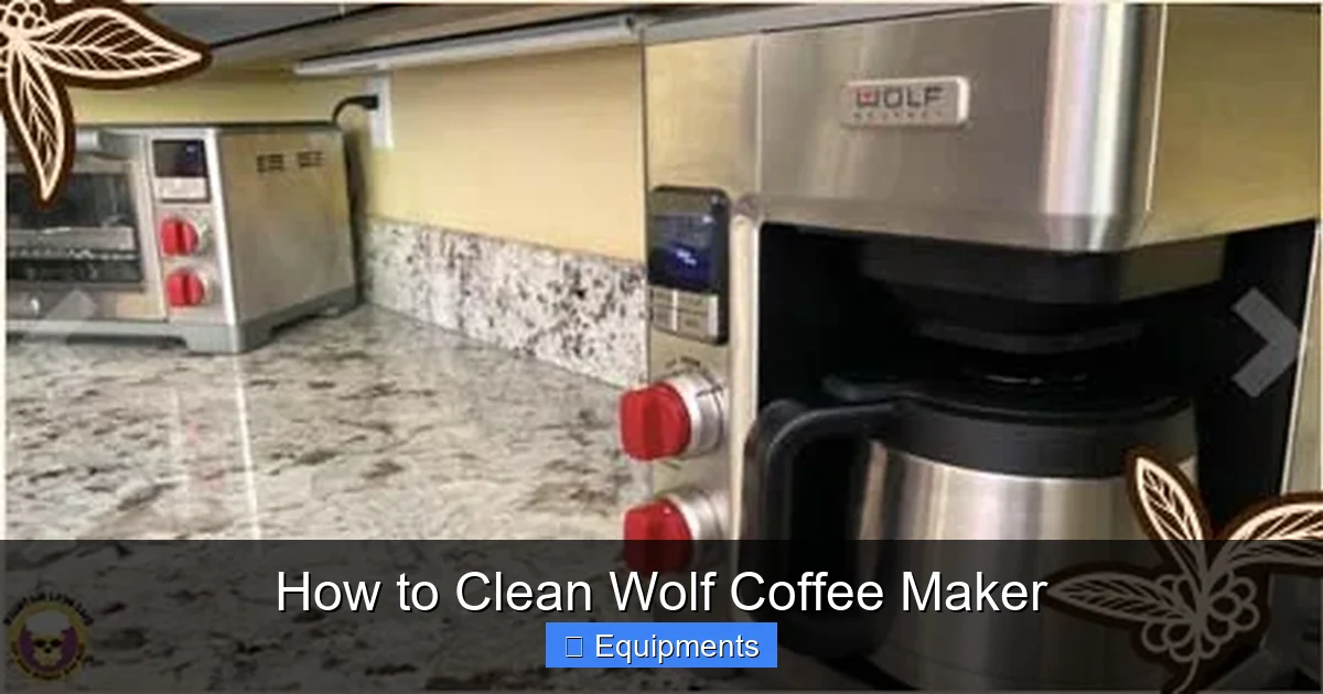 How to Clean Wolf Coffee Maker