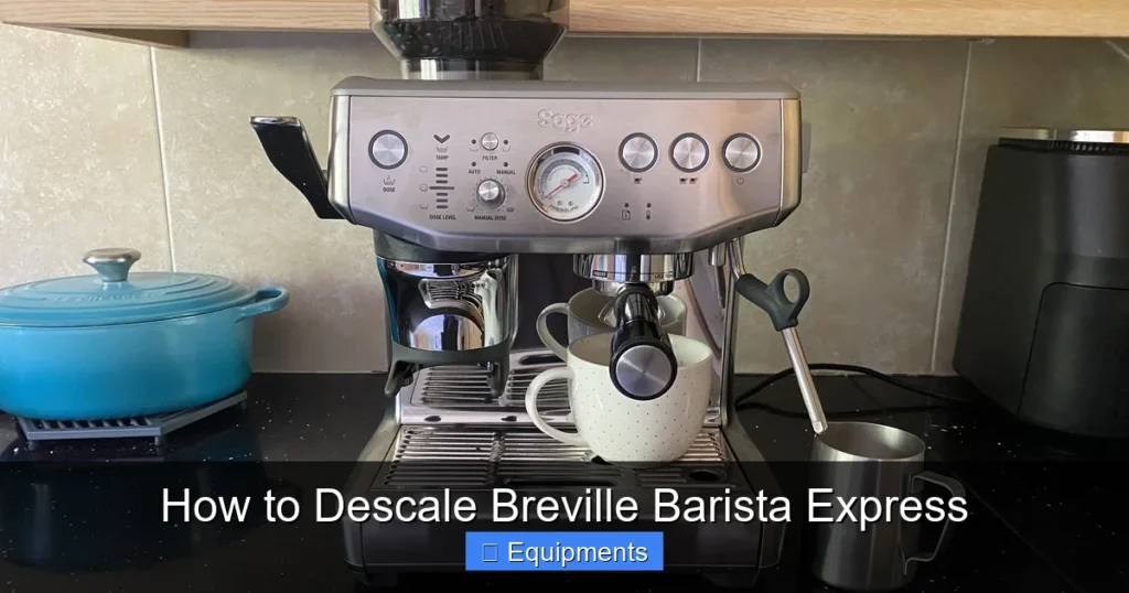 How to Descale Breville Barista Express