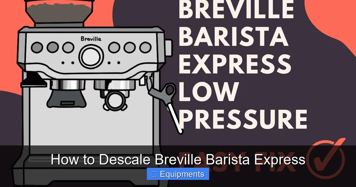 How to Descale Breville Barista Express