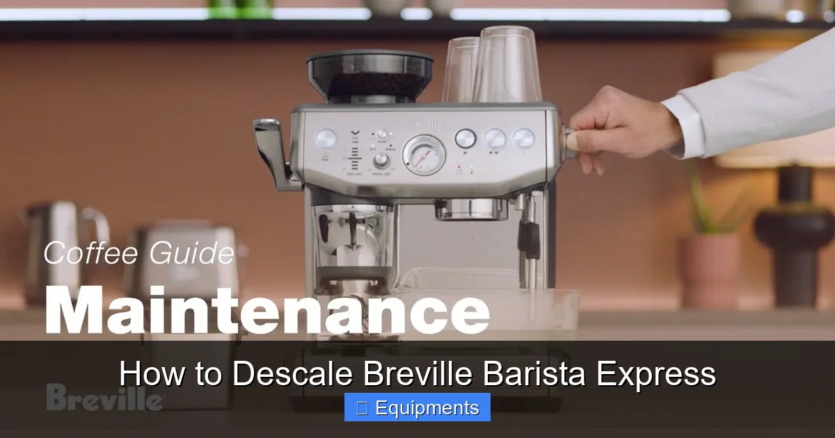 How to Descale Breville Barista Express