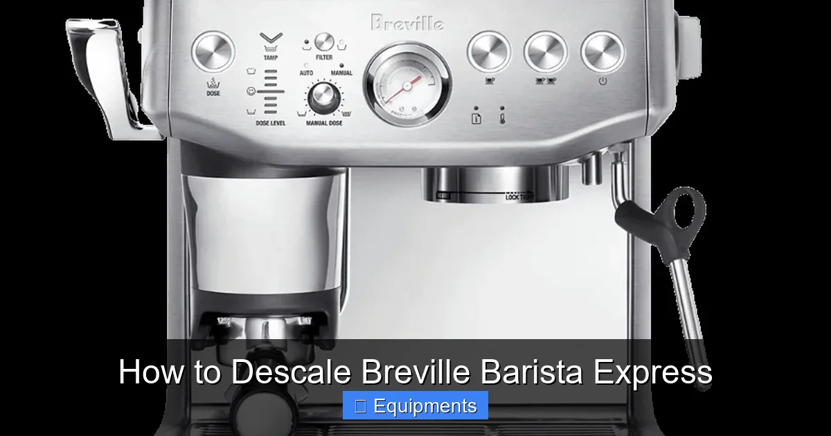How to Descale Breville Barista Express