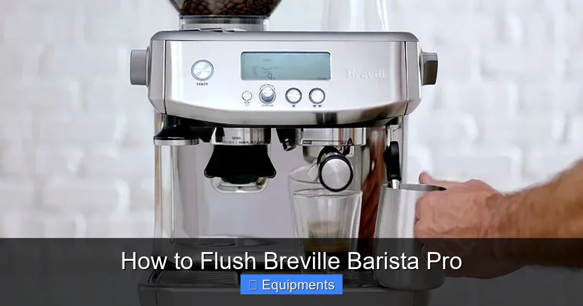 How to Flush Breville Barista Pro