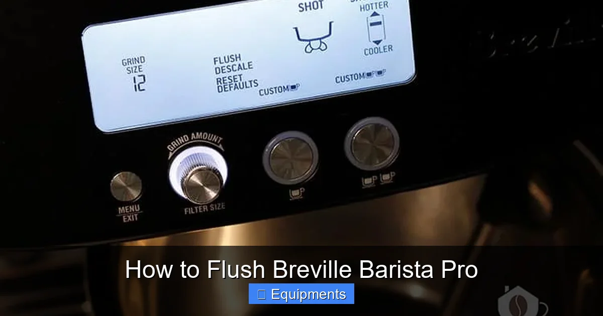 How to Flush Breville Barista Pro