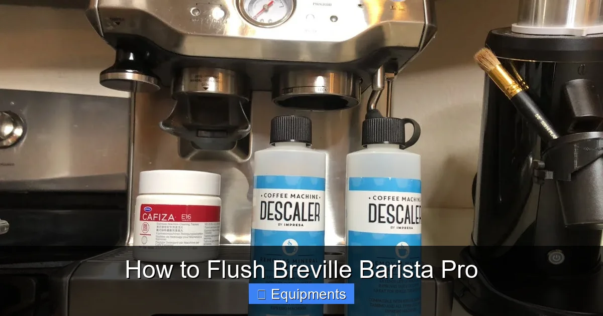 How to Flush Breville Barista Pro