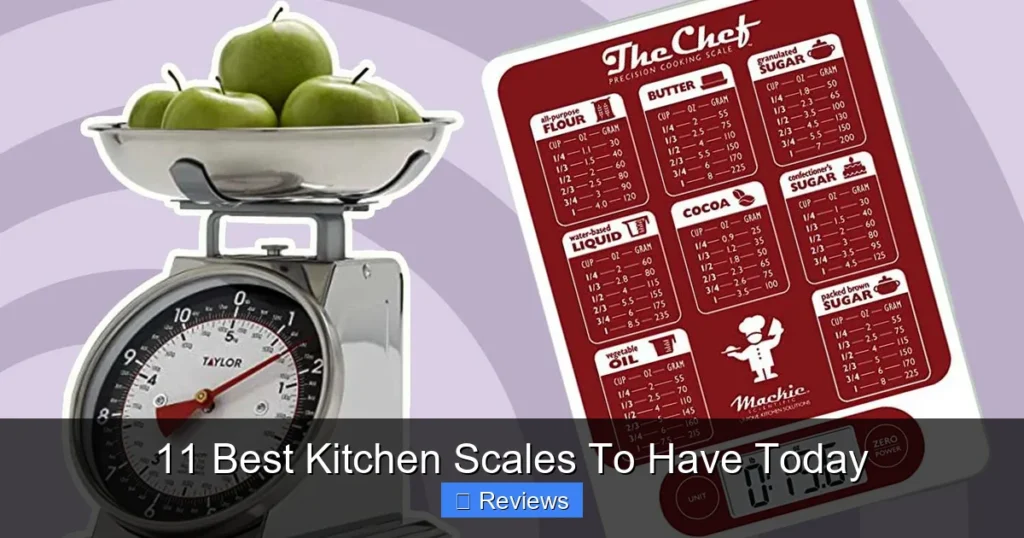 11 Best Kitchen Scales To Have Today
