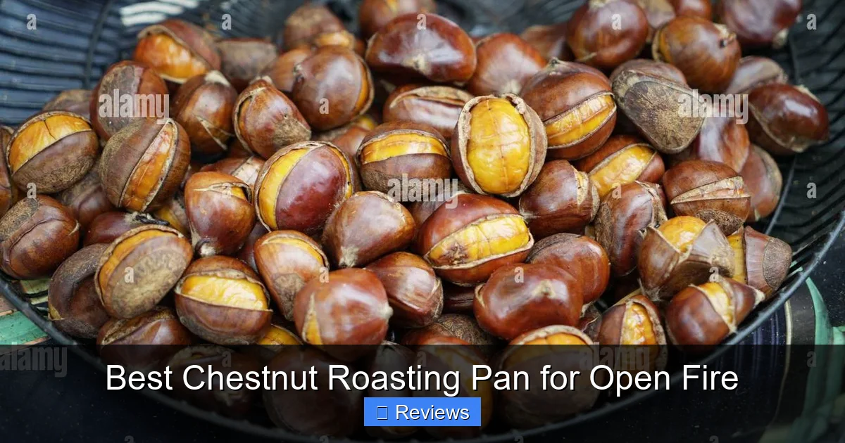 Best Chestnut Roasting Pan for Open Fire