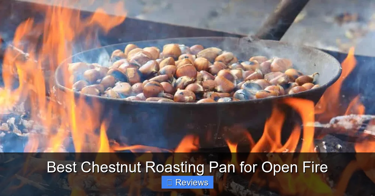 Best Chestnut Roasting Pan for Open Fire
