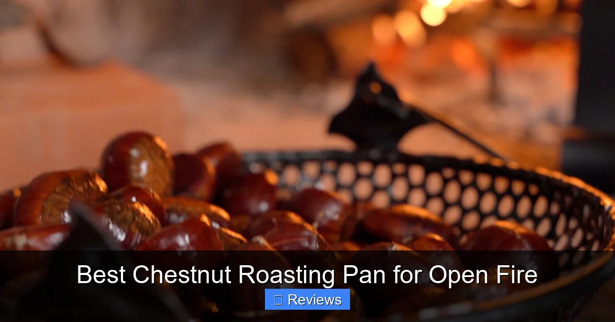 Best Chestnut Roasting Pan for Open Fire