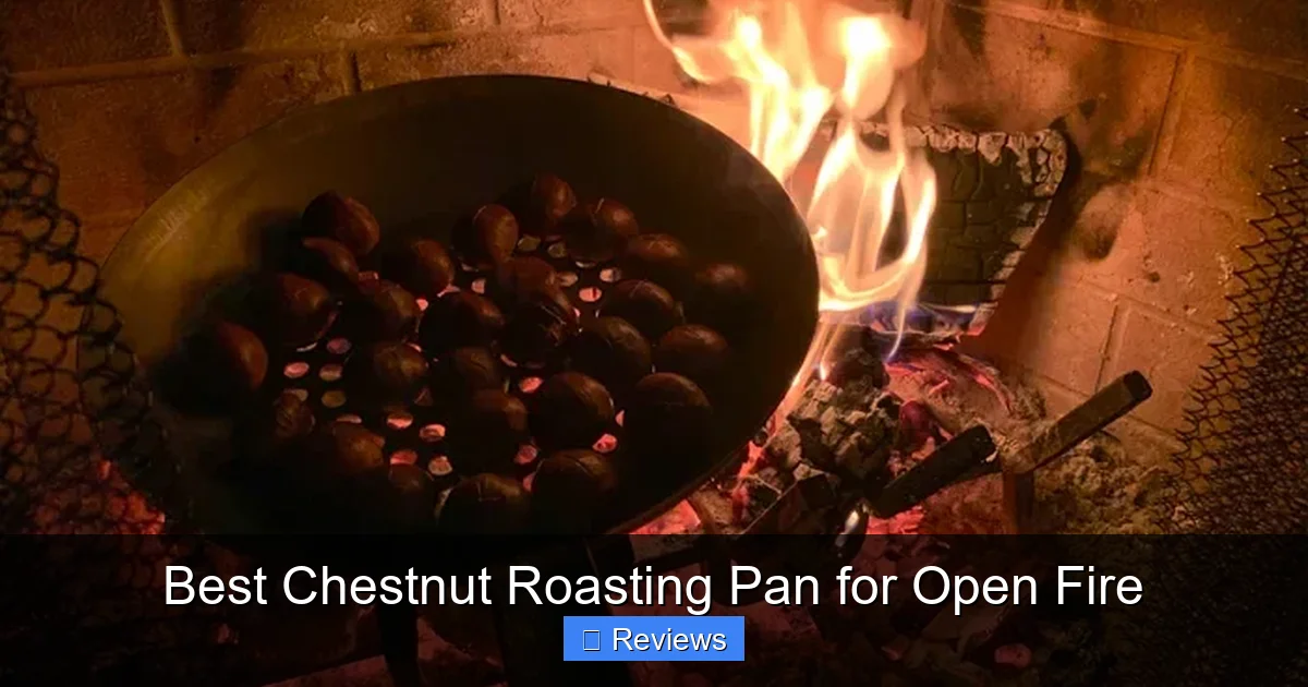 Best Chestnut Roasting Pan for Open Fire