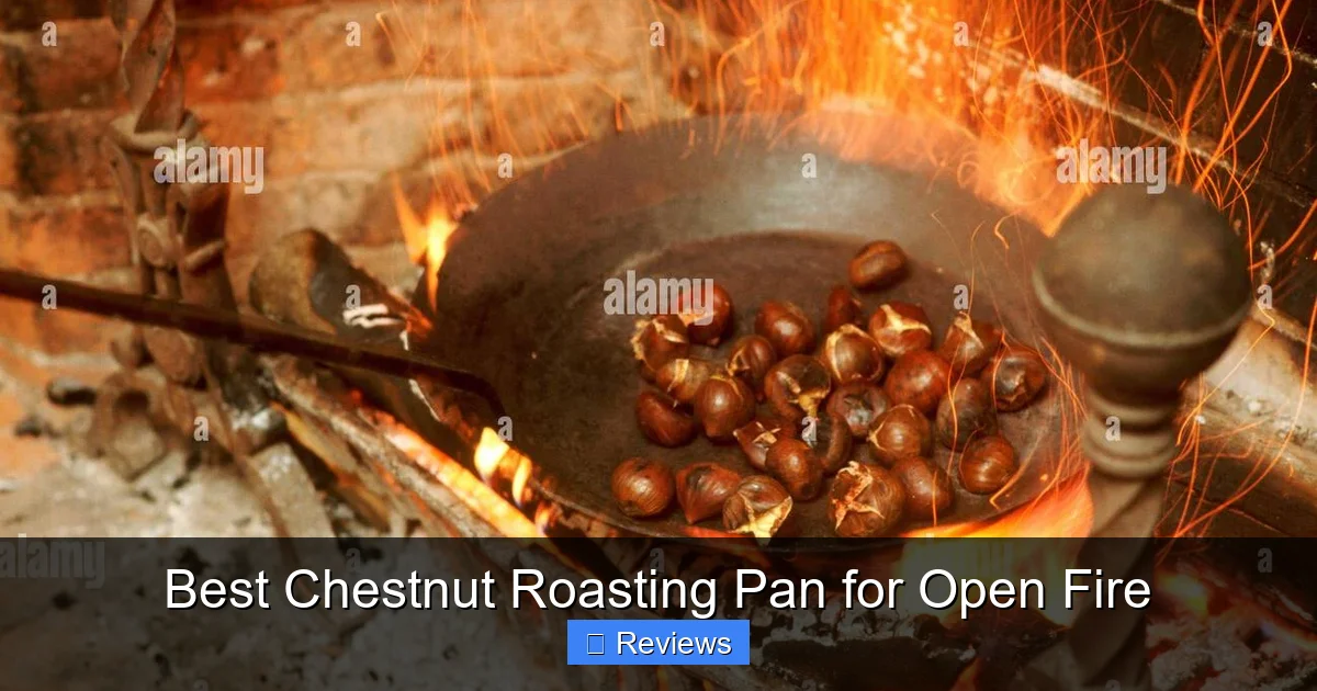 Best Chestnut Roasting Pan for Open Fire