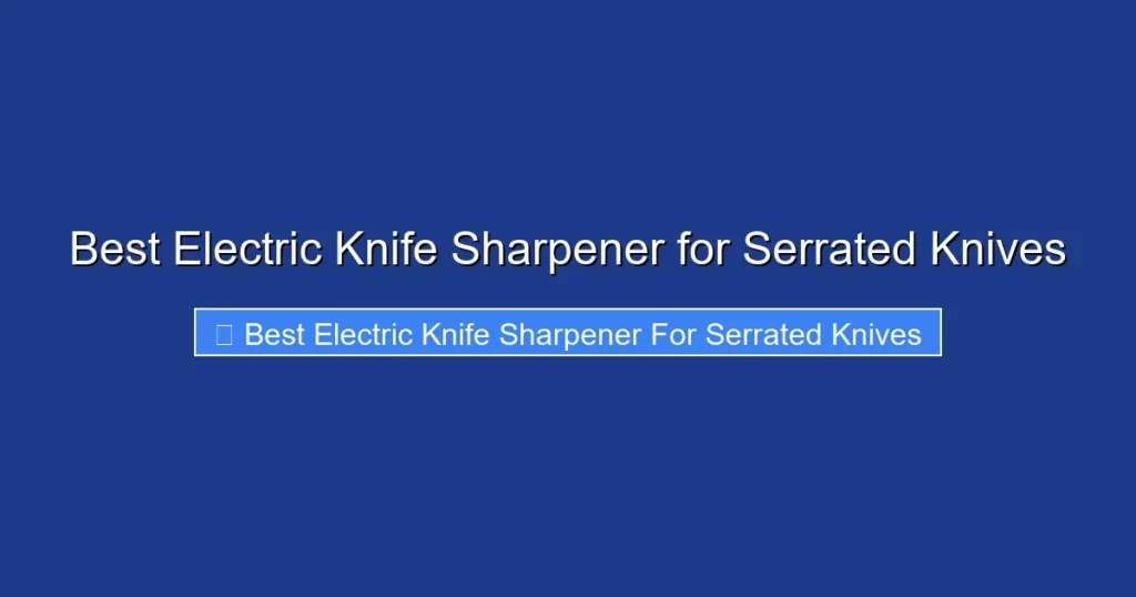 Best Electric Knife Sharpener for Serrated Knives