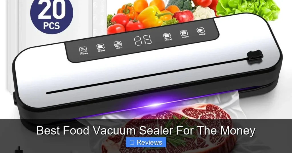 Best Food Vacuum Sealer For The Money