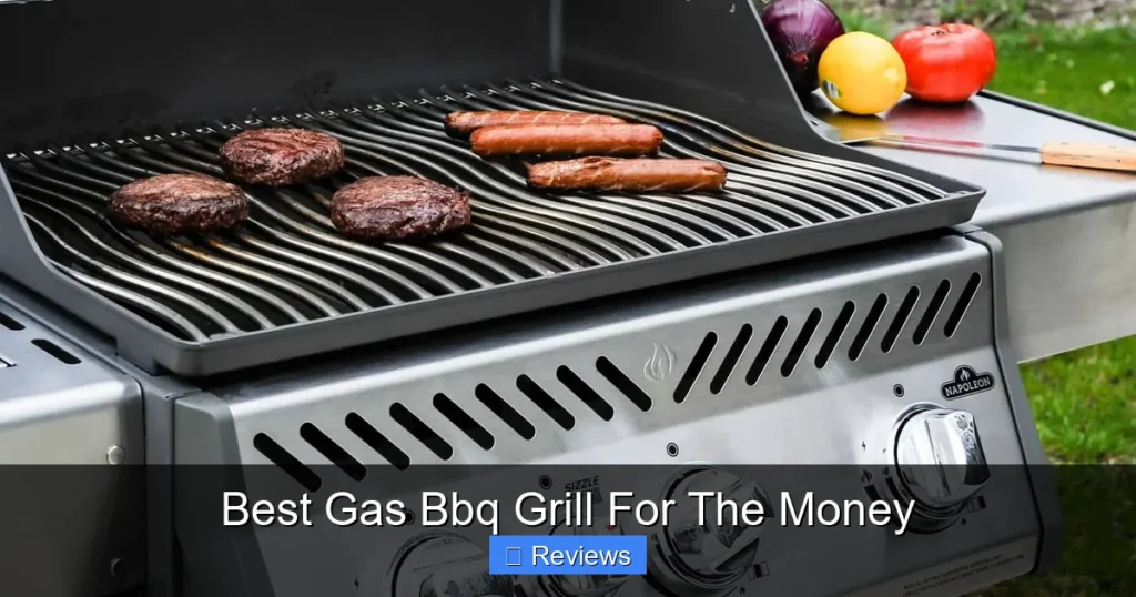 Best Gas Bbq Grill For The Money