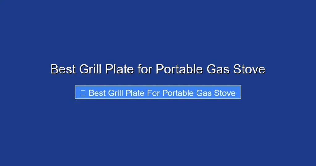 Best Grill Plate for Portable Gas Stove