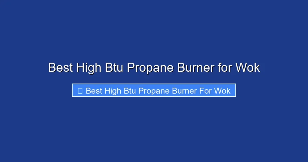 Best High Btu Propane Burner for Wok