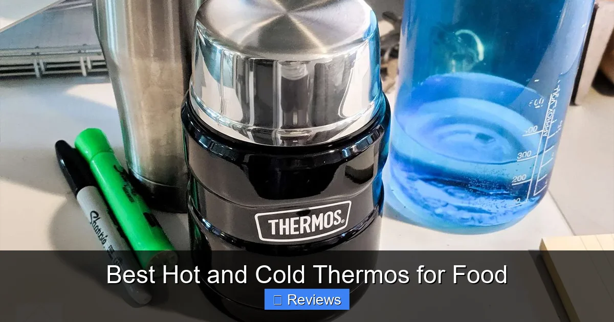 Best Hot and Cold Thermos for Food