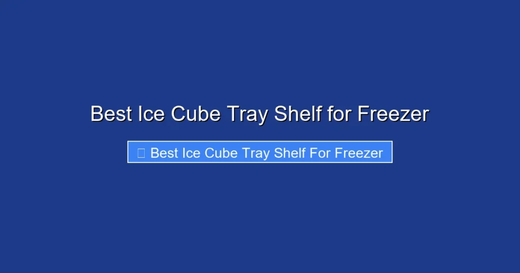 Best Ice Cube Tray Shelf for Freezer