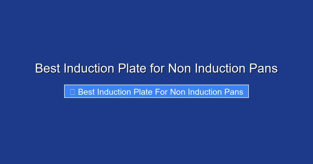 Best Induction Plate for Non Induction Pans