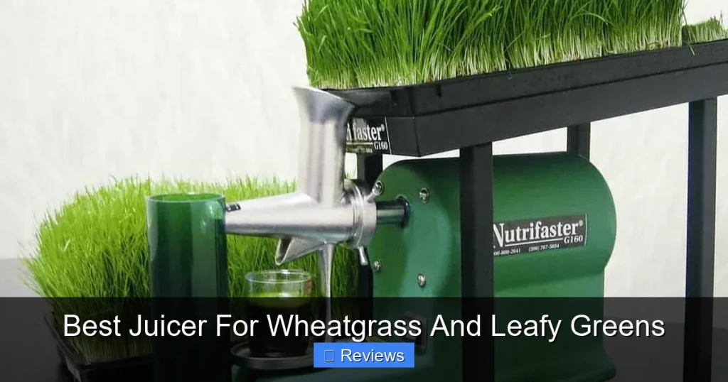 Best Juicer For Wheatgrass And Leafy Greens