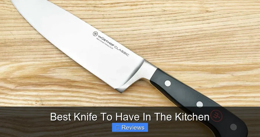 Best Knife To Have In The Kitchen