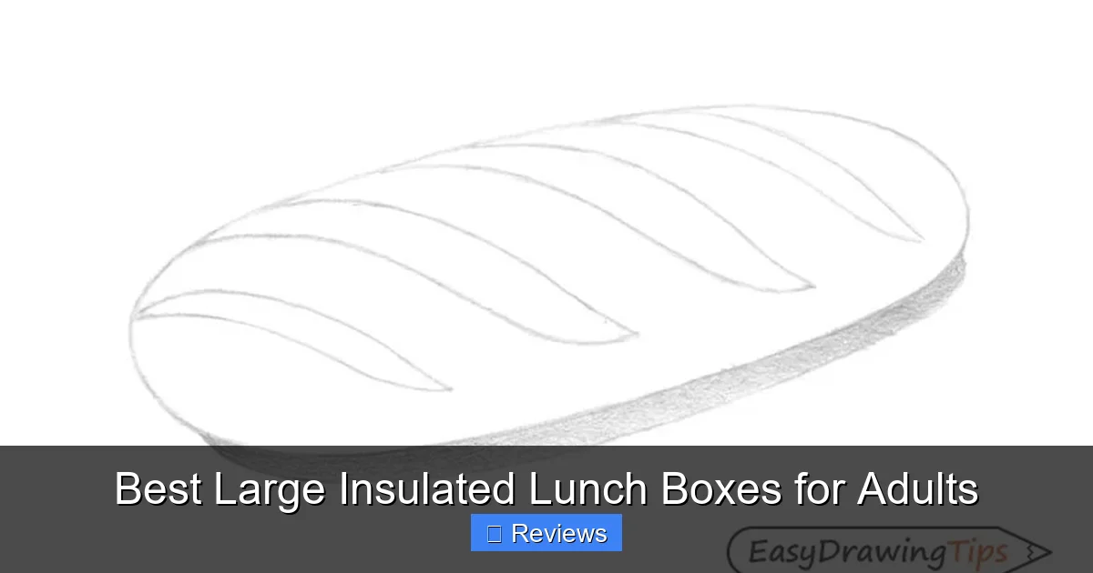Best Large Insulated Lunch Boxes for Adults