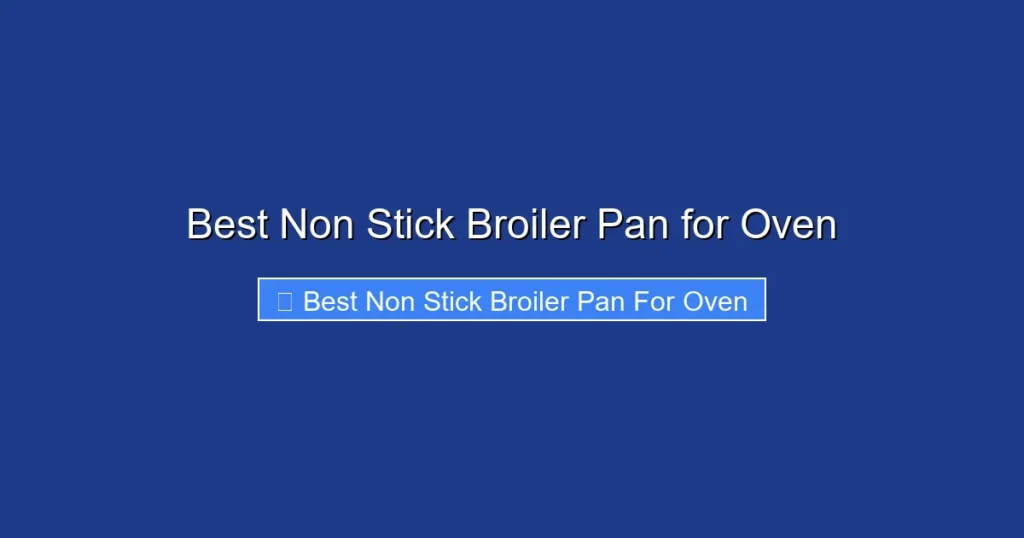 Best Non Stick Broiler Pan for Oven