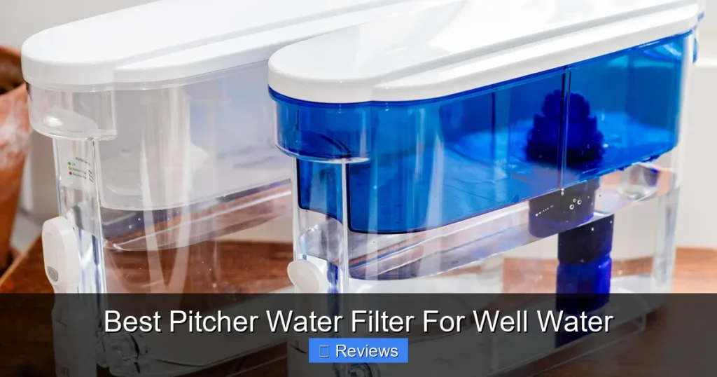 Best Pitcher Water Filter For Well Water
