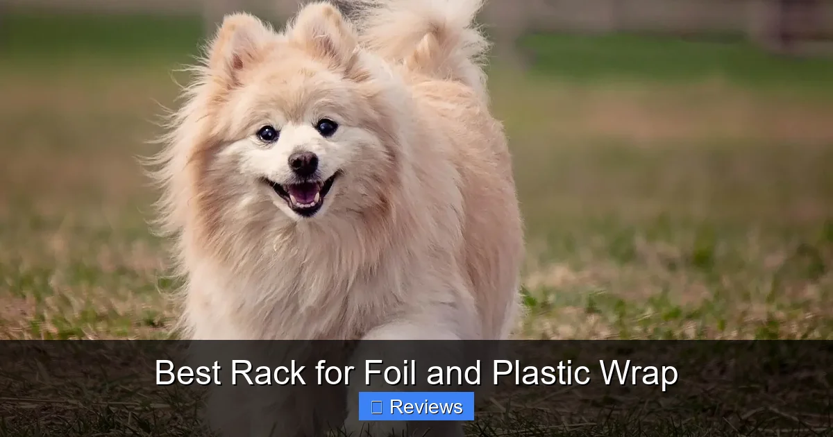 Best Rack for Foil and Plastic Wrap