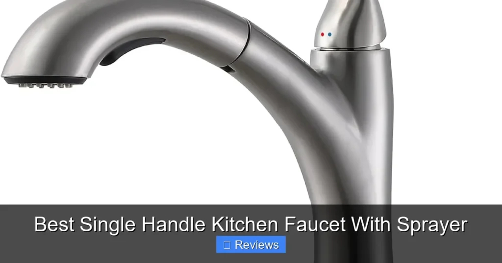Best Single Handle Kitchen Faucet With Sprayer