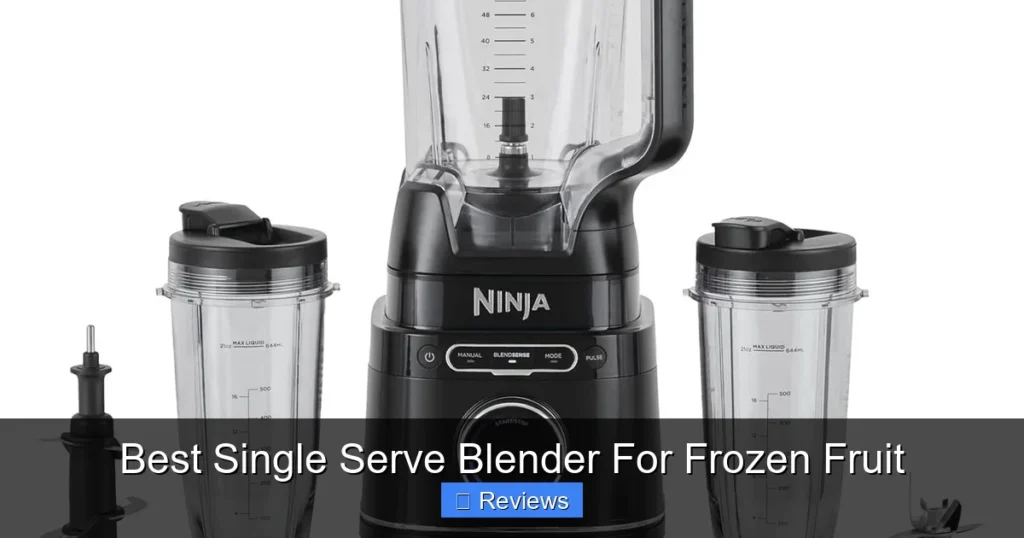 Best Single Serve Blender For Frozen Fruit