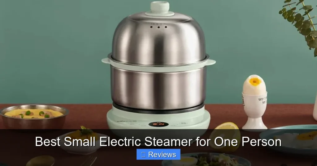 Best Small Electric Steamer for One Person