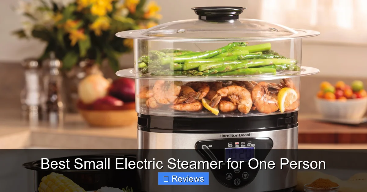 Best Small Electric Steamer for One Person