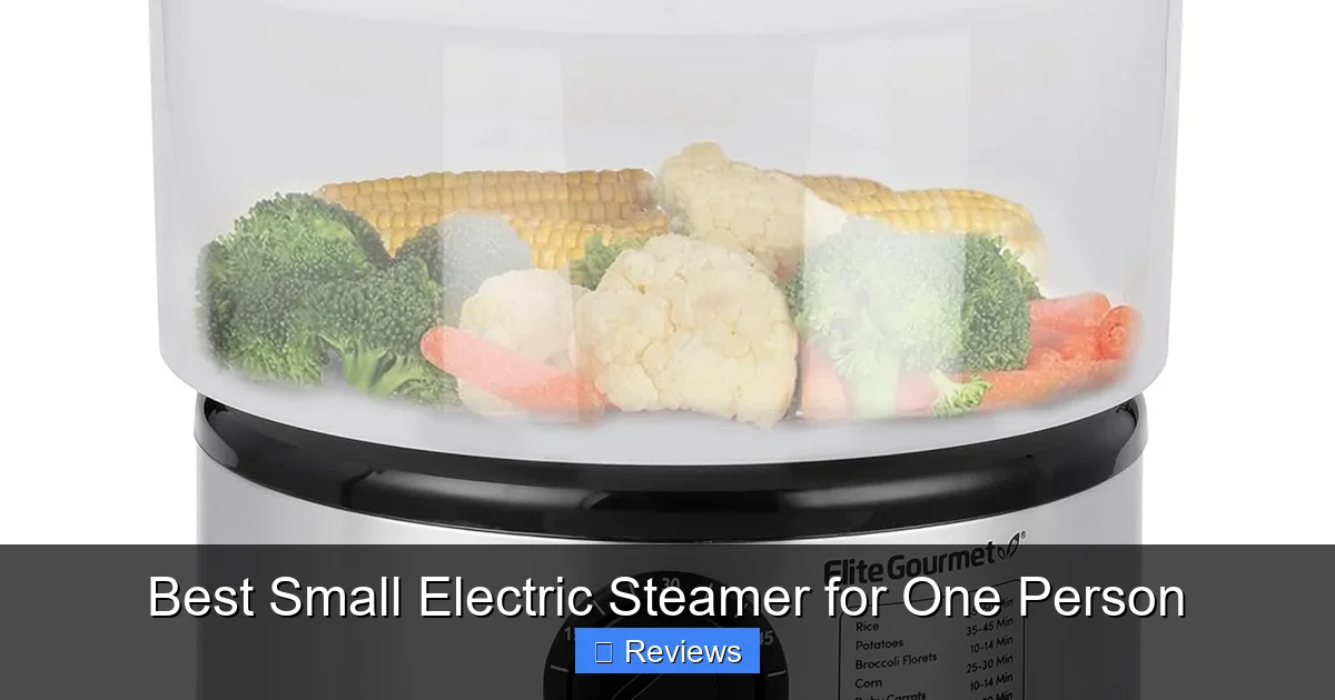 Best Small Electric Steamer for One Person