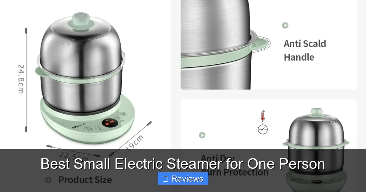 Best Small Electric Steamer for One Person