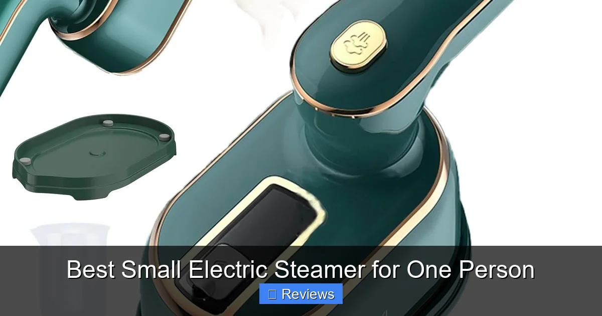 Best Small Electric Steamer for One Person