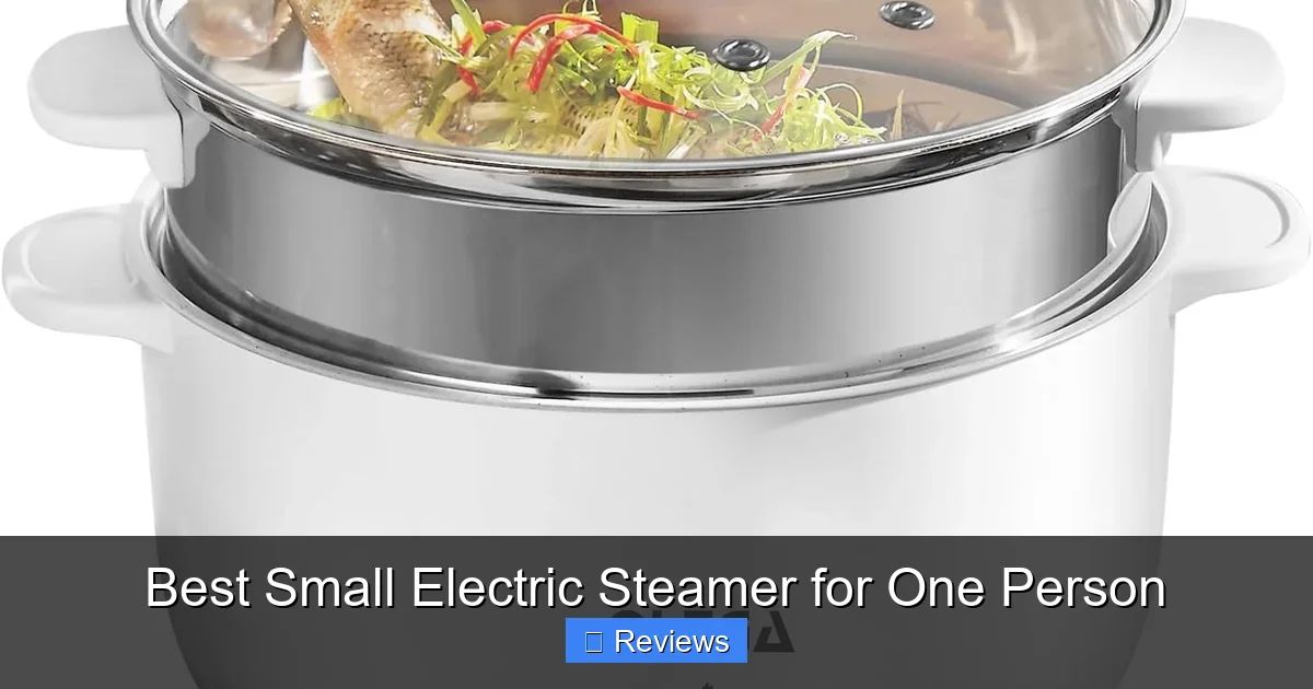 Best Small Electric Steamer for One Person