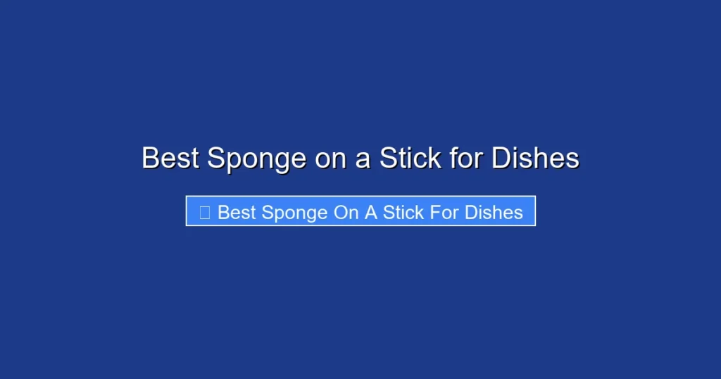 Best Sponge on a Stick for Dishes