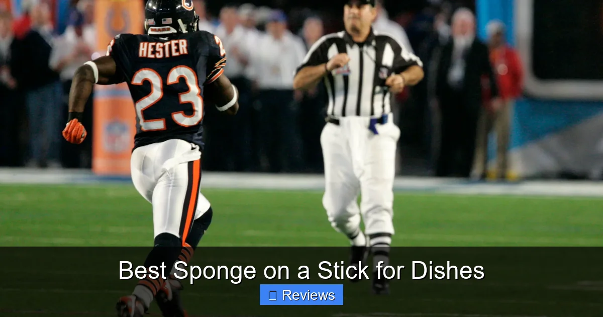 Best Sponge on a Stick for Dishes