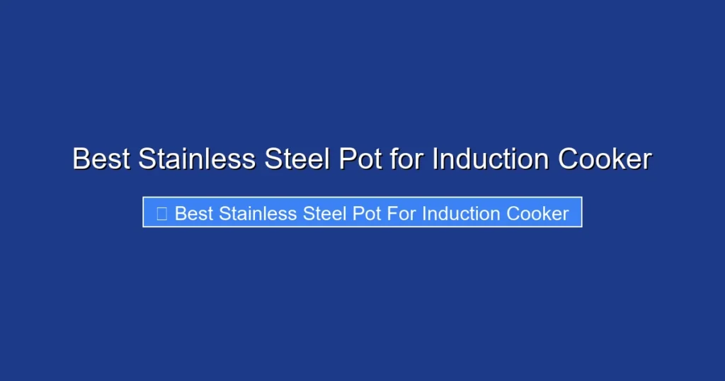 Best Stainless Steel Pot for Induction Cooker