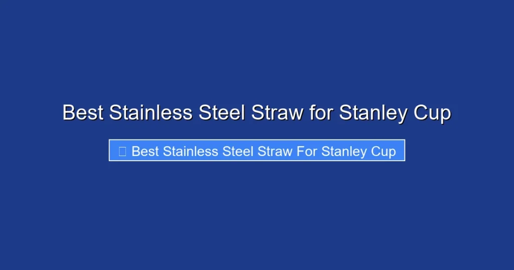 Best Stainless Steel Straw for Stanley Cup