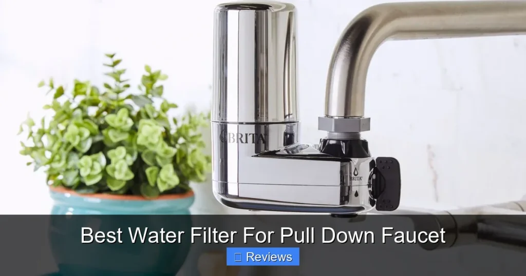 Best Water Filter For Pull Down Faucet