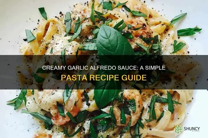 Creamy Garlic Alfredo Sauce in 15 Minutes