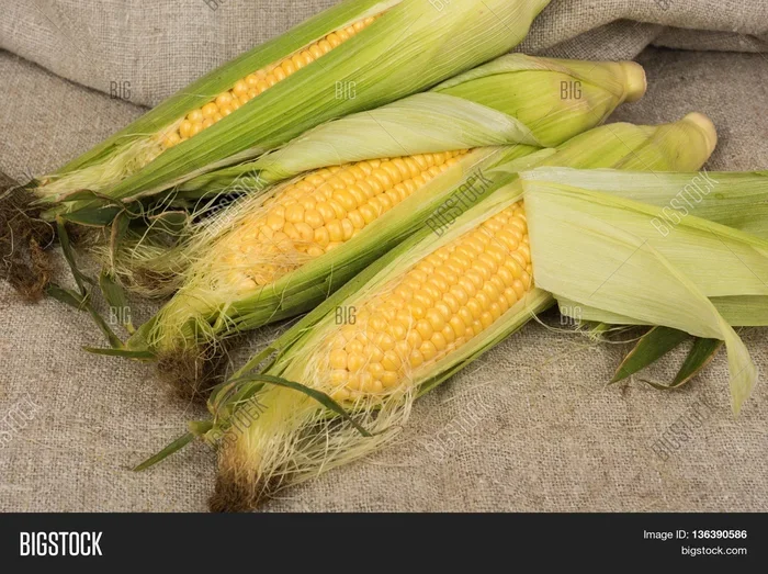 Is Corn a Fruit