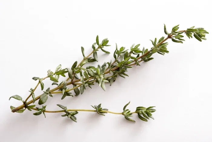 Fresh Thyme