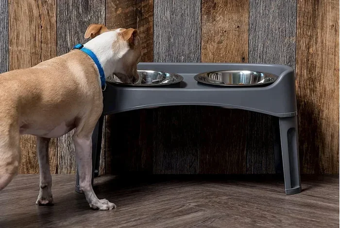 Best Food for Large Dog Breeds