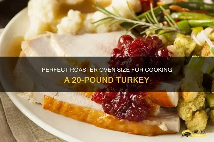 How Long to Cook 20 Lb Turkey